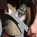 2 Grosas De Casquear Excel 1 Original + 1 Legend - Mustad