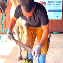 Kit Casqueamento – Dr. Pedro Calazans | Edição Profissional Nº2